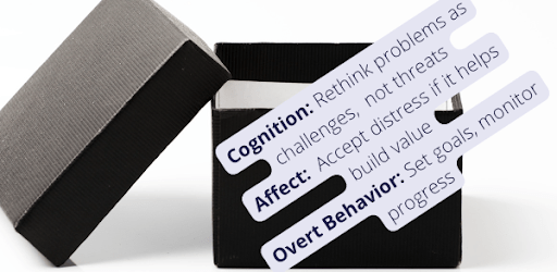 Black box model illustration 2